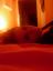 honey_bunny_20