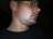 Stier24477